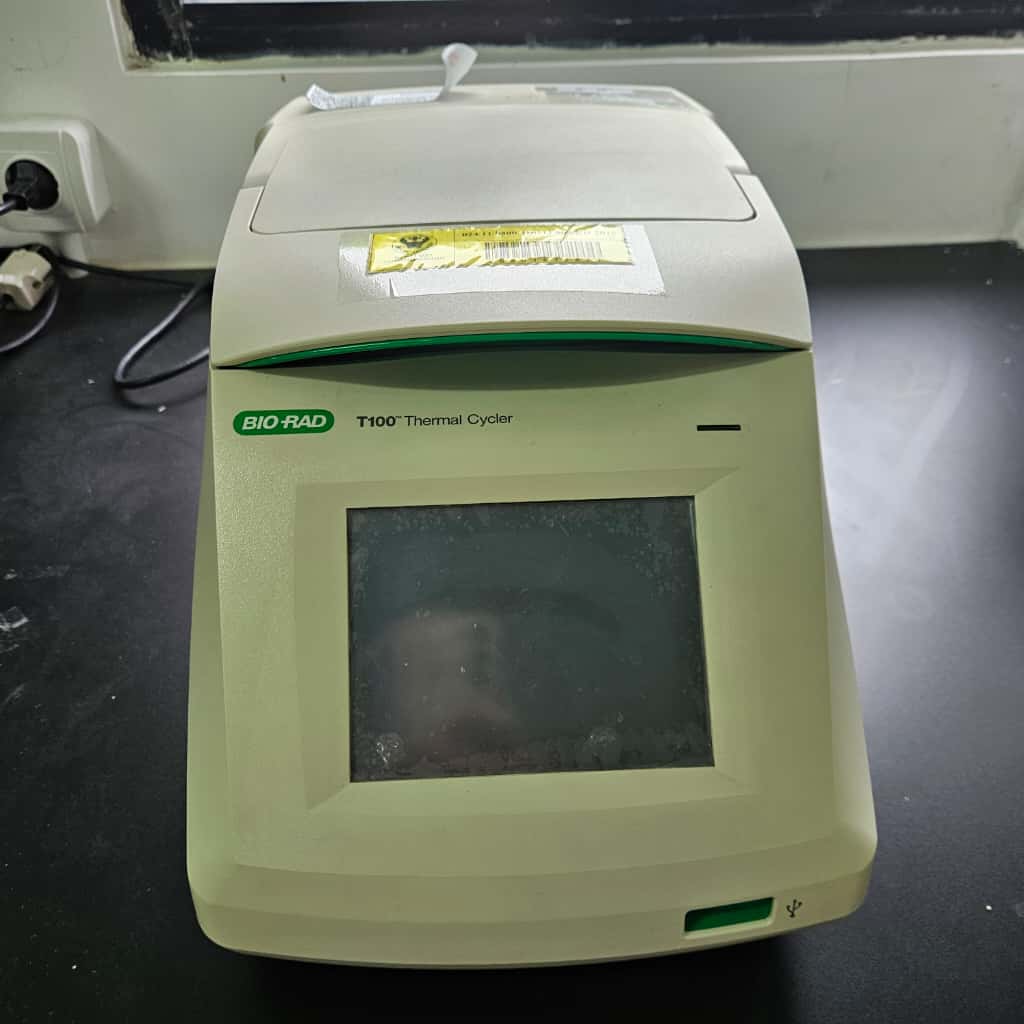 Polymerase Chain Reaction (PCR) BioRad