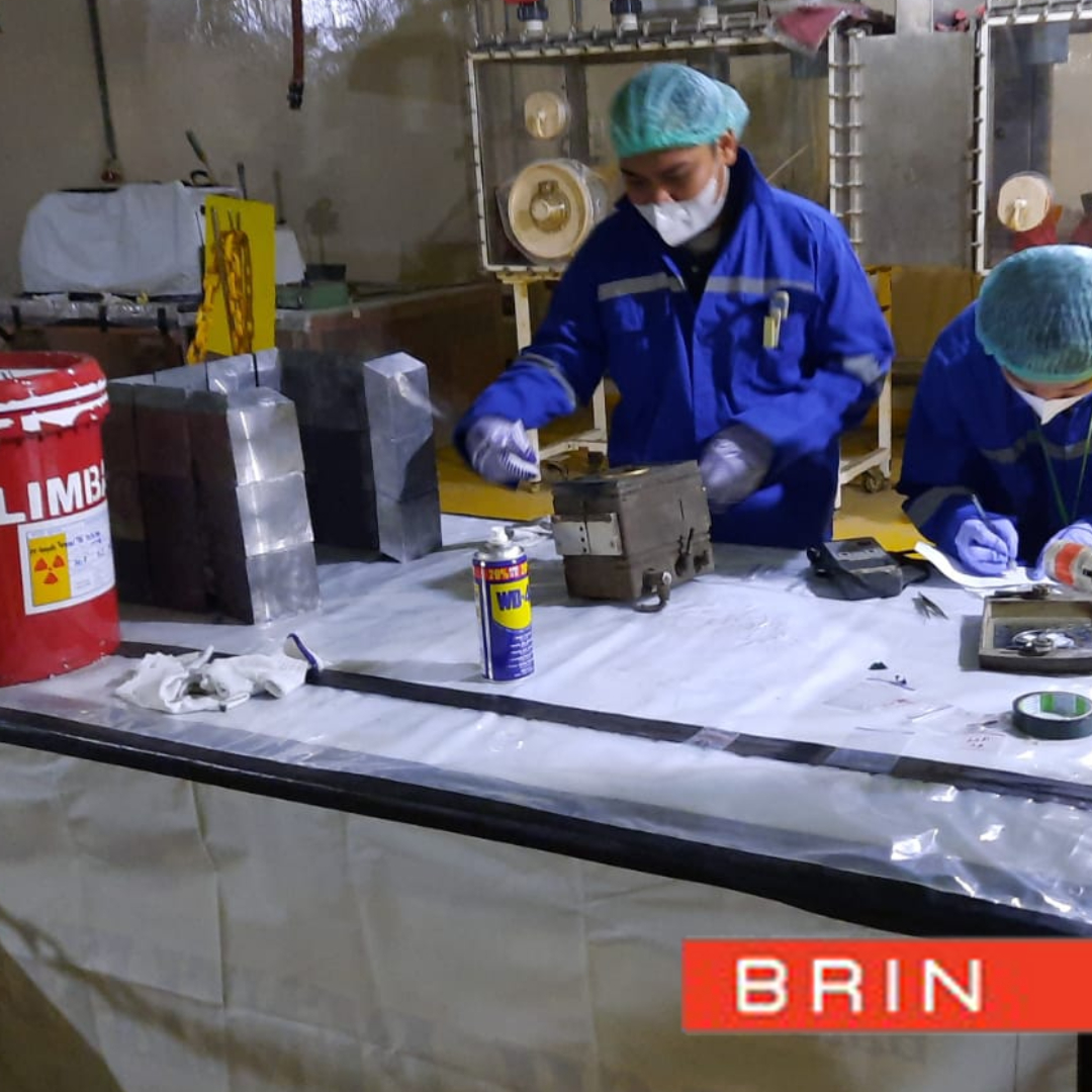 Irradiation Service Package for Samples Utilizing Neutron, Gamma, Beta, or Alpha Sources